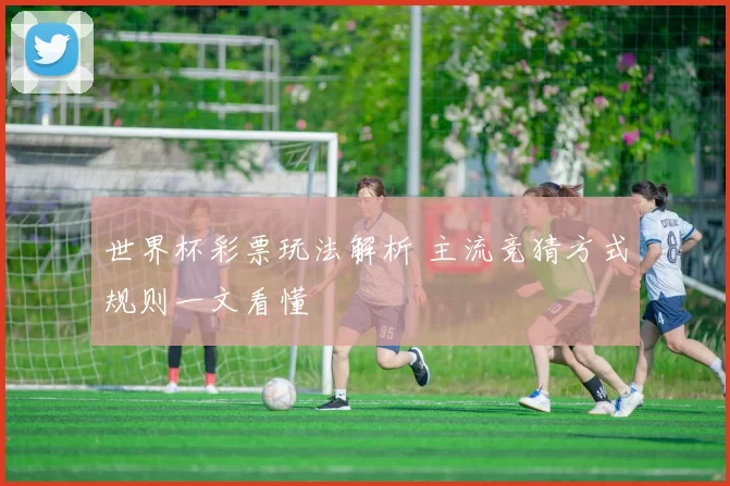 世界杯彩票玩法解析 主流竞猜方式规则一文看懂