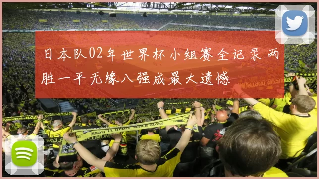 日本队02年世界杯小组赛全记录 两胜一平无缘八强成最大遗憾