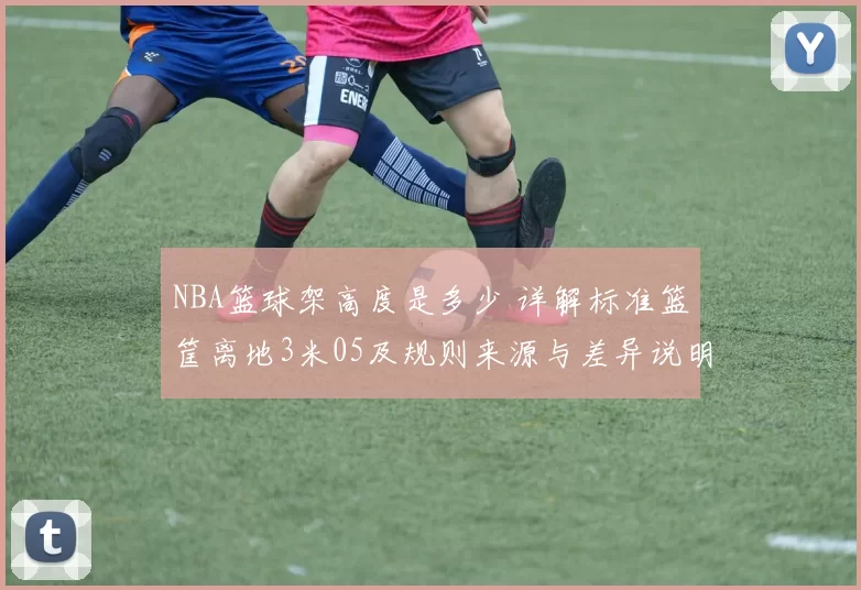 NBA篮球架高度是多少 详解标准篮筐离地3米05及规则来源与差异说明