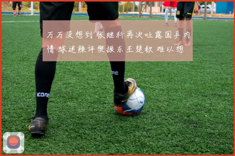 万万没想到 张继科再次吐露国乒内情 球迷辣评樊振东王楚钦 难以想象